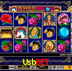 Usb Bet